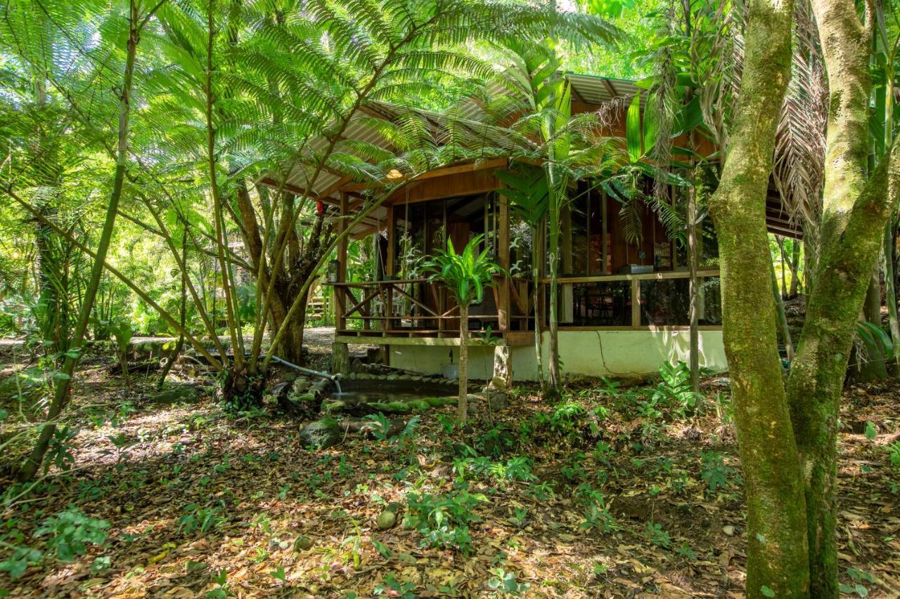 Cabañas del Lago La Fortuna Exterior foto
