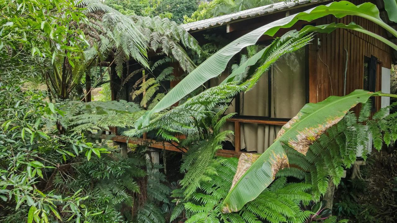 Cabañas del Lago La Fortuna Exterior foto