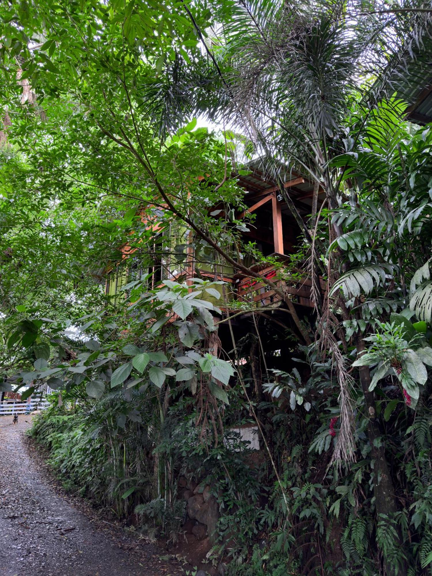 Cabañas del Lago La Fortuna Exterior foto